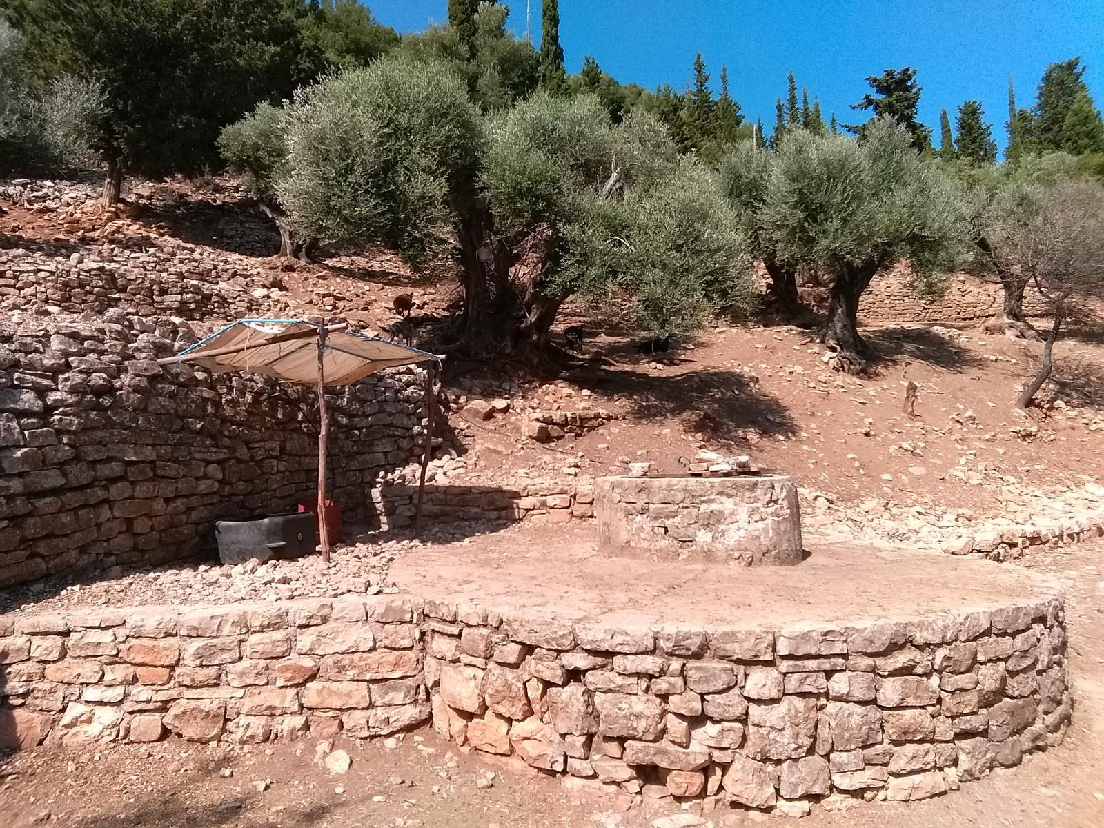 Sheep and Goat Reproduction - Reproduction Management with an emphasis on the peculiarities of the Ionian Islands